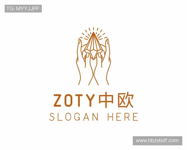 认识zoty中欧